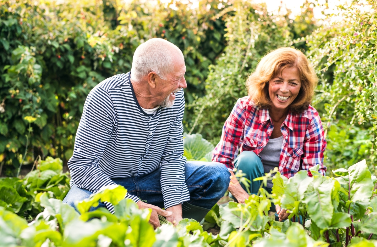 How Community Gardening Can Help Seniors Stay Connected and Active