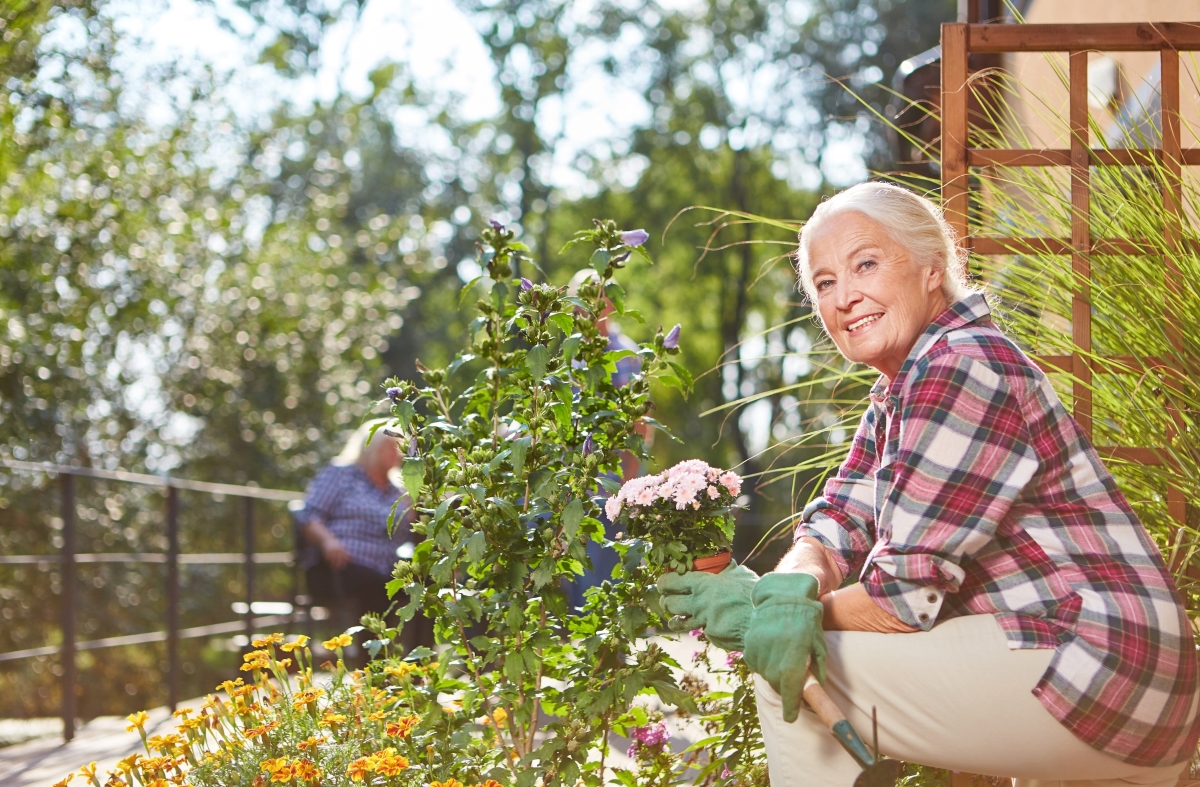 Creating a Senior-Friendly Garden: Tips for Low-Maintenance Landscaping