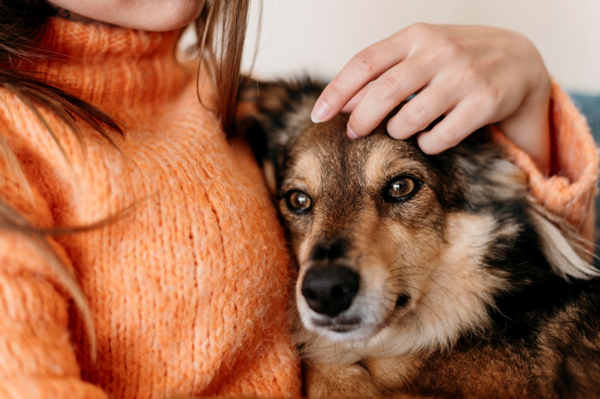 The Benefits of Pet Therapy for Seniors: Why Animals are Good for the Soul