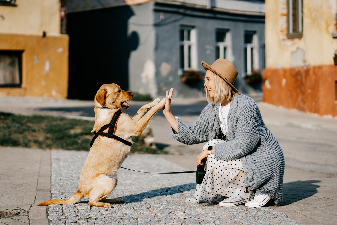 How to Choose the Right Pet for Your Lifestyle as a Senior